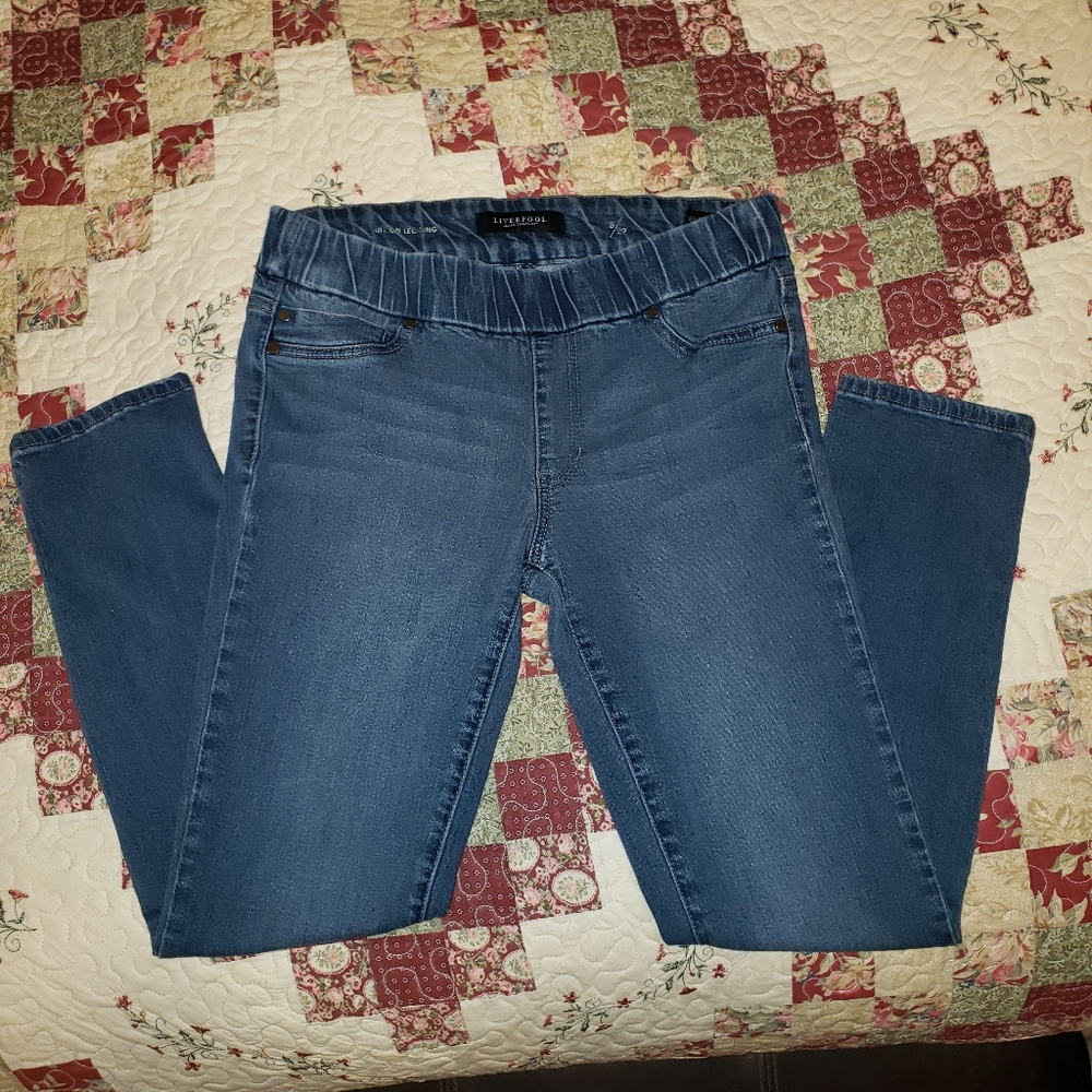 COPY - Liverpool Denim Skinny Jeans